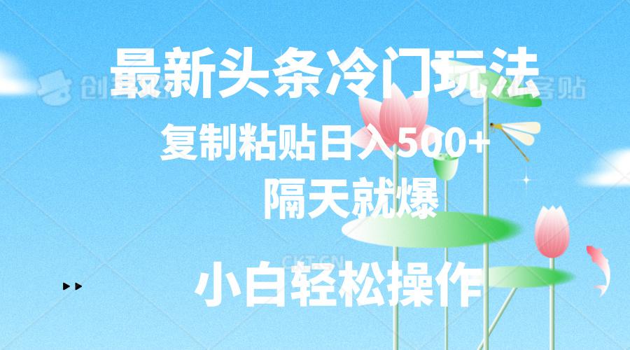 最新头条冷门玩法，隔天就爆，复制粘贴日入500+-87创业网