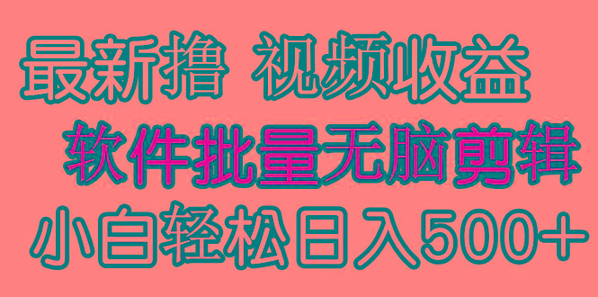 (9569期)发视频撸收益，软件无脑批量剪辑，第一天发第二天就有钱-87创业网