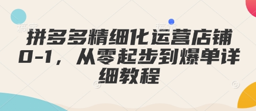 拼多多精细化运营店铺0-1，从零起步到爆单详细教程-87创业网