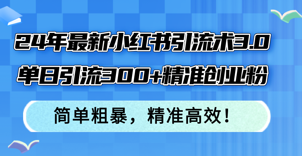 24年最新小红书引流术3.0，单日引流300+精准创业粉，简单粗暴，精准高效！-87创业网