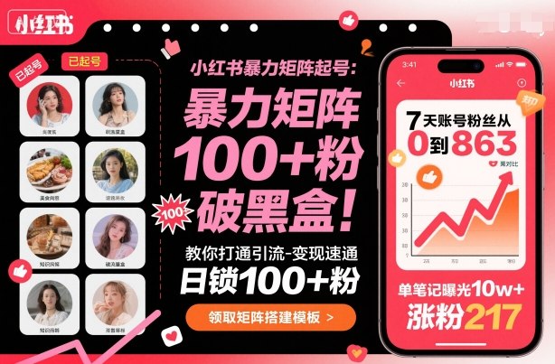 小红书暴力矩阵起号，教你打通引流-变现速通，日锁100+粉，破流量黑盒-87创业网