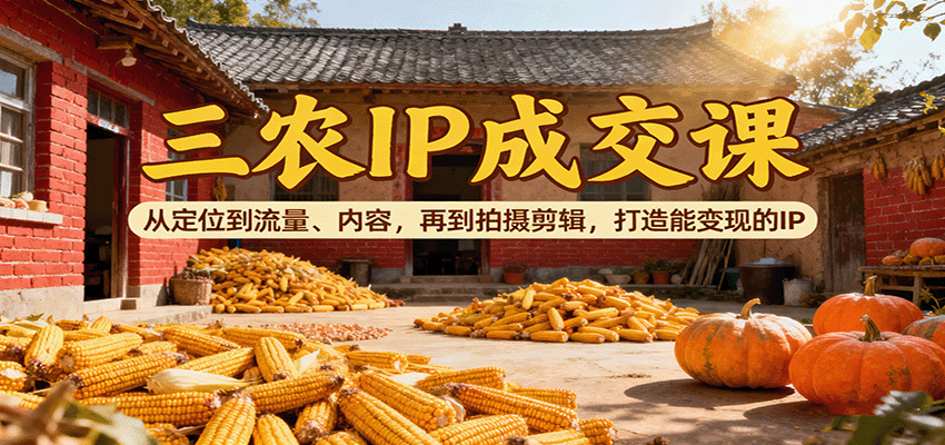 三农IP成交课：从定位到流量、内容，再到拍摄剪辑，打造能变现的IP-87创业网