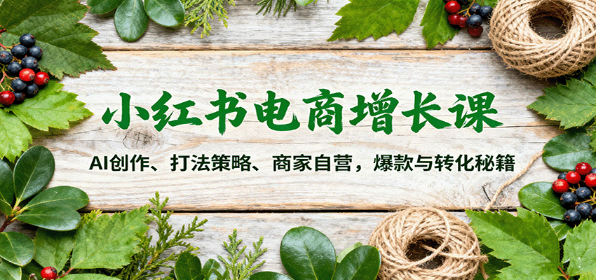 小红书电商增长课：AI创作、打法策略、商家自营，爆款与转化秘籍-87创业网