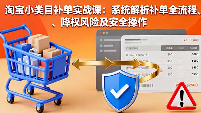 淘宝小类目补单实战课：系统解析补单全流程、降权风险及安全操作-87创业网