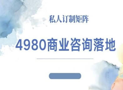 4980商业咨询师落地课程-ip运营高客单教程-87创业网