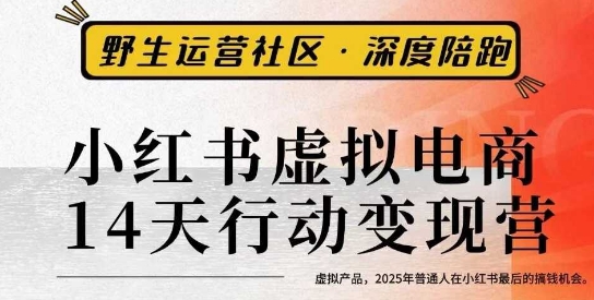 小红书虚拟电商14天变现训练营3.0，​虚拟产品，2025年普通人在小红书最后的搞钱机会-87创业网