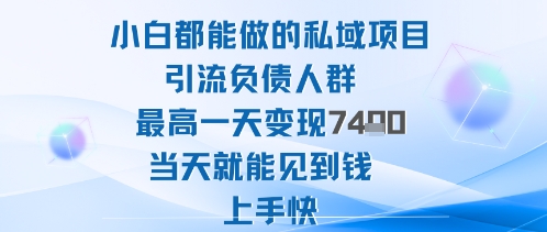 2025年小白都能做的私域项目引流负债人群最高一天变现1k+高变现难度低当天就能见到钱上手快-87创业网