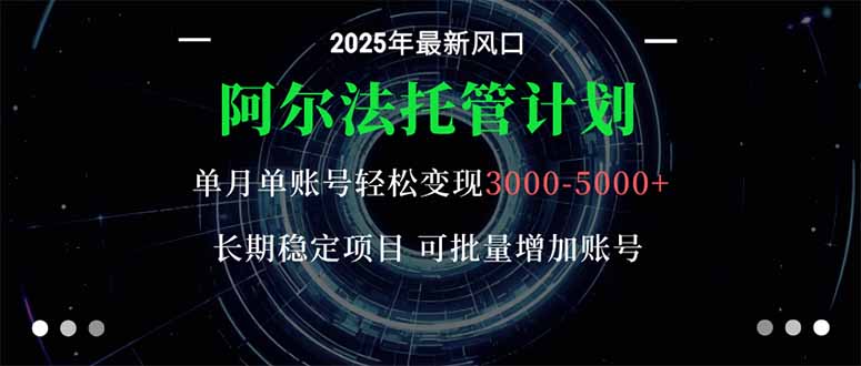 阿尔法托管计划 单账号月入3000-5000，长期稳定项目，新手小白轻松上手。-87创业网