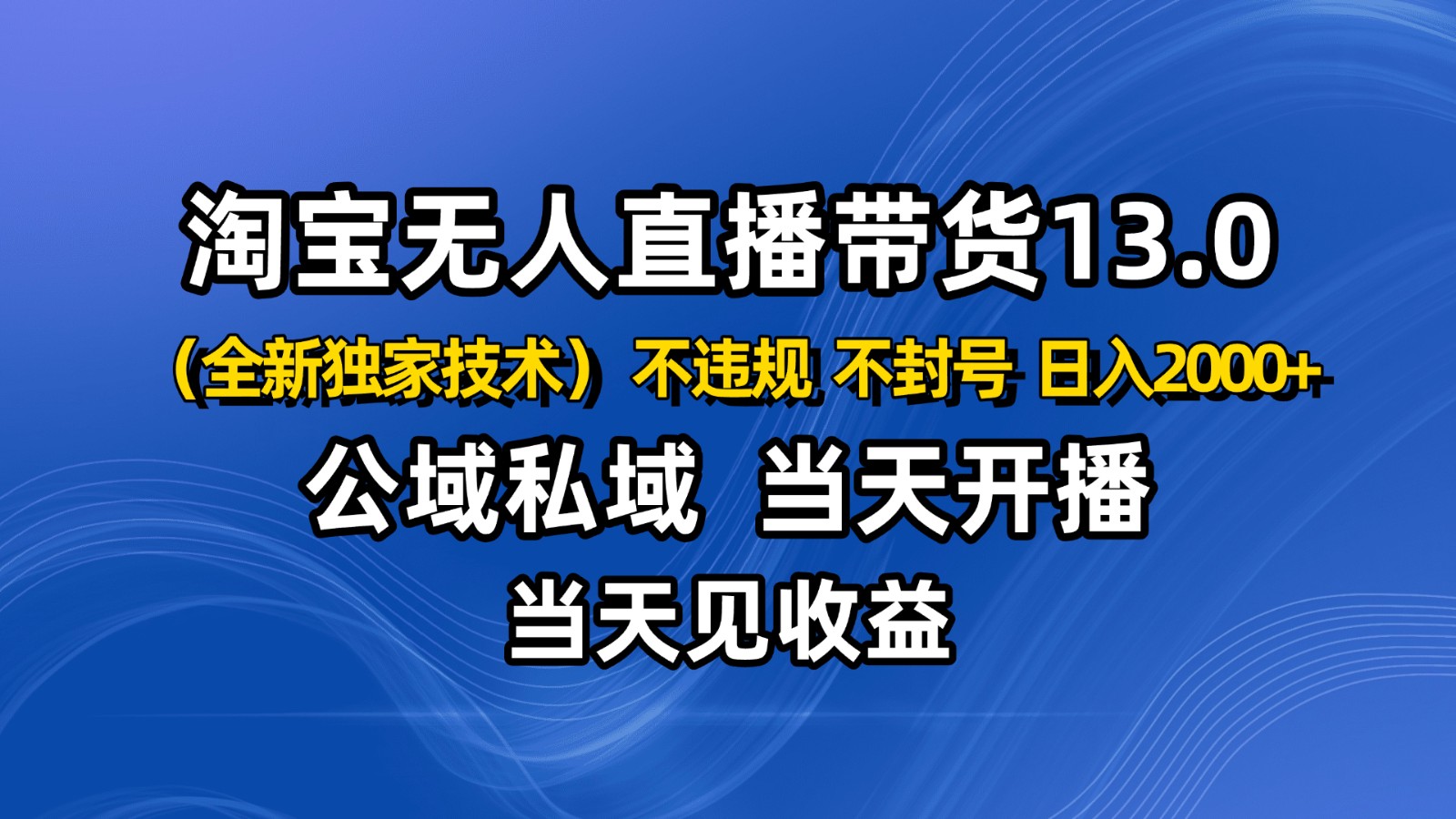 淘宝无人直播13.0，公域私域技术，不封号，不违规 布局下半年旺季赛道，日入2000+-87创业网