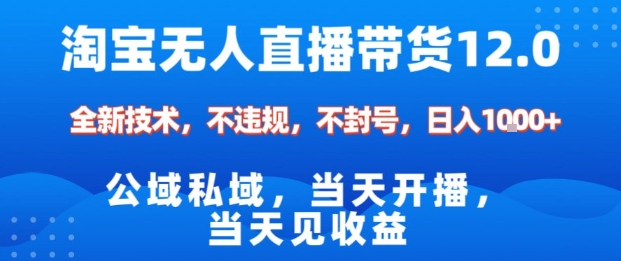 淘宝无人直播12.0，公域私域技术，不封号，不违规布局双十一流量风口，日入1k(独家技术)【揭秘】-87创业网