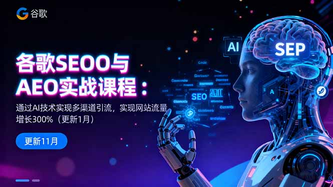 谷歌SEO与AEO实战课程：通过AI技术实现多渠道引流，实现网站流量增长300%-87创业网