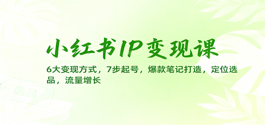 小红书IP变现课：6大变现方式，7步起号，爆款笔记打造，定位选品，流量增长-87创业网