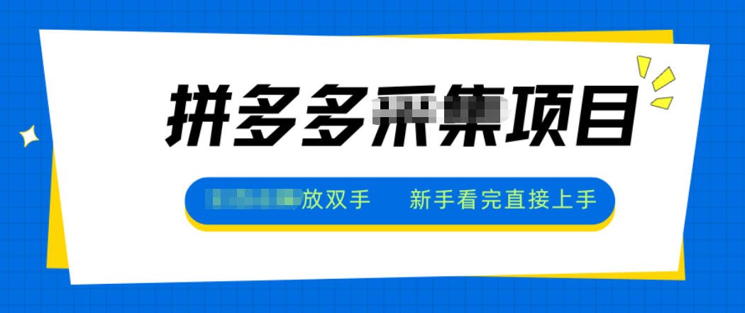 拼多多电商采集，一小时50+，操作简单，零投资-87创业网