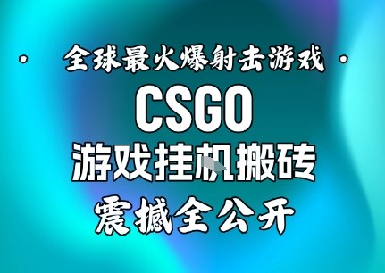 【年底大揭秘】基于全球最火爆的射击CSGO游戏挂G搬砖，日入5张+，震撼公开-87创业网