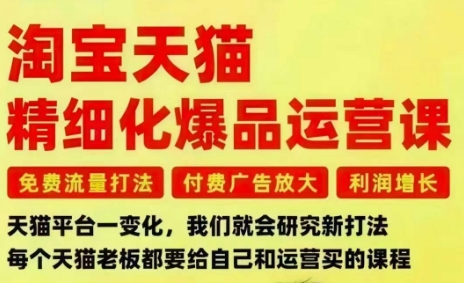 淘宝天猫精细化爆品运营课，免费流量打法-付费广告放大-利润增长-三大核心痛点，一次全部解决-87创业网