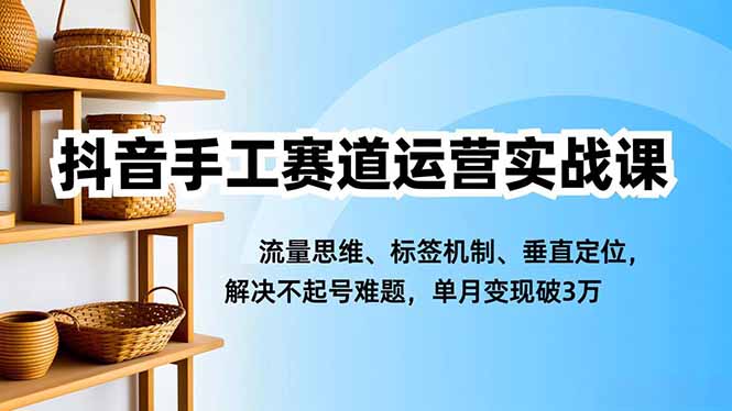 抖音手工赛道运营实战课，流量思维、标签机制、垂直定位，解决不起号难题，单月变现破3万-87创业网