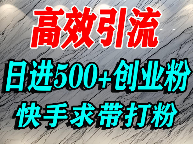怎么打创业粉？快手求带视角精准引流创业粉，宝妈、学生群体日进500+精准流量-87创业网