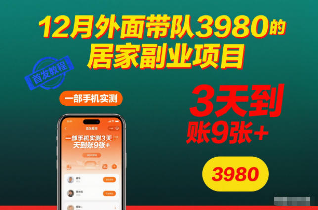 12月外面带队3980的居家副业项目，一部手机实测3天到账9张+，首发教程【揭秘】-87创业网
