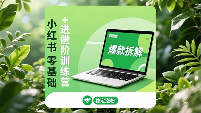 小红书零基础+高阶训练营：安全养号、爆款拆解、长效运营，实现稳定涨粉与变现-87创业网