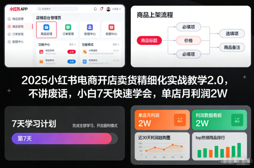 2025小红书电商开店卖货精细化实战教学2.0，不讲废话，小白7天快速学会，单店月利润2W-87创业网
