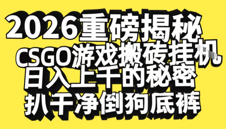 2026开年重磅解密，CSGO游戏搬砖挂G日入1k+的秘密，把倒狗的底裤扒干【揭秘】-87创业网