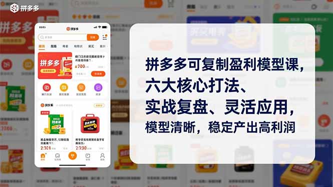 拼多多可复制盈利模型课，六大核心打法、实战复盘、灵活应用，模型清晰，稳定产出高利润-87创业网