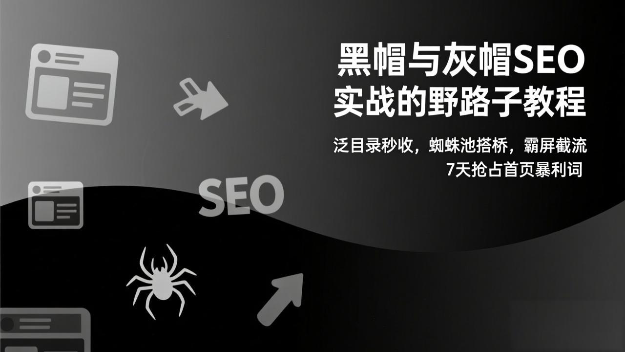 黑帽与灰帽SEO实战的野路子教程：泛目录秒收，蜘蛛池搭桥，霸屏截流，7天抢占首页暴利词-87创业网