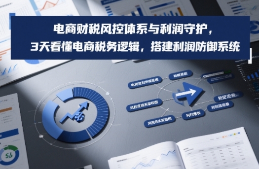 电商财税风控体系与利润守护，3天看懂电商税务逻辑，搭建利润防御系统-87创业网