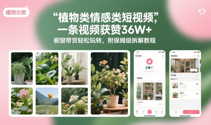 植物类情感类短视频，一条视频获赞36W+，橱窗带货轻松玩转，附保姆级拆解教程-87创业网
