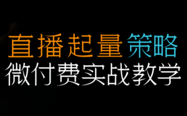 半野老师·直播带货起量与微付费必学课视频号(更新2026)-87创业网