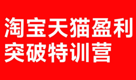 玺承·淘宝天猫盈利突破特训营(25年12月线下课)【音频+字幕】-副业终点站