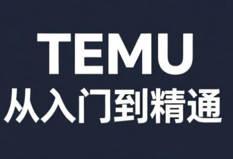 跨境麦冬·TEMU从入门到精通-副业终点站