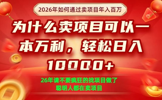 一单净利润1K+，26年想年入100个W，死磕卖项目就够了【揭秘】-副业终点站