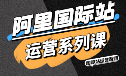 醒目老师·阿里国际站运营系列课(更新3月)-副业终点站