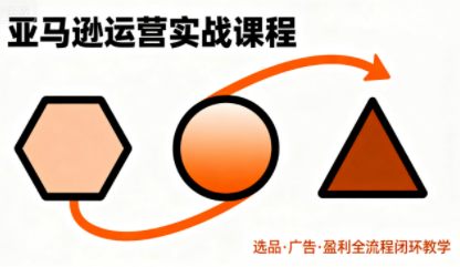 毕方电商·亚马逊全站会员课程(更新3月)-副业终点站