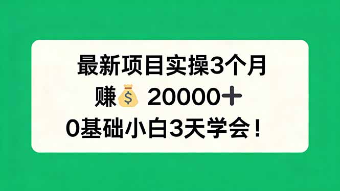 最新项目实操3个月，赚钱20000+，0基础小白3天学会！-副业终点站