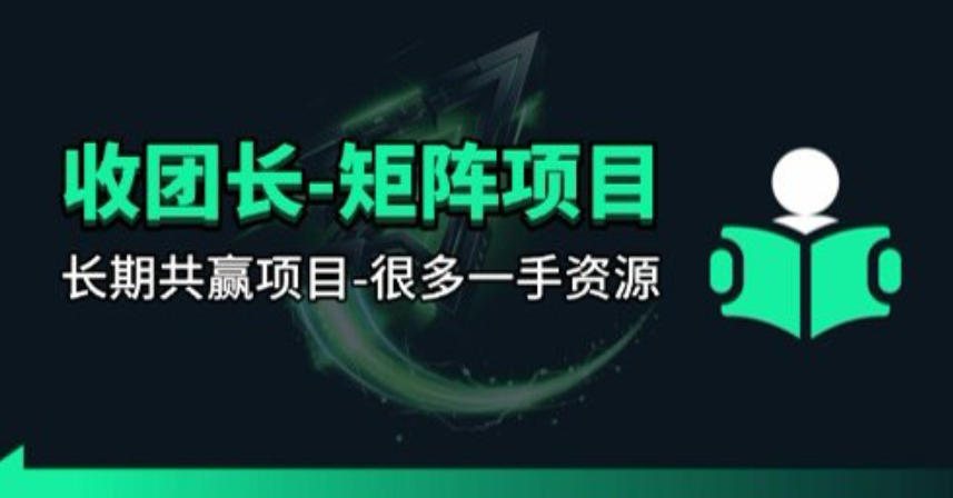 【团长合作】视频矩阵项目_招发手矩阵+剪辑师，共赢项目【揭秘】-副业终点站