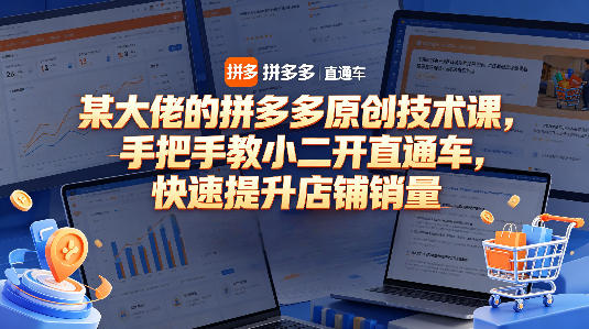 某大佬的拼多多原创技术课，手把手教小二开直通车，快速提升店铺销量-副业终点站