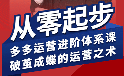 海神·拼多多运营进阶系统课(更新2026)-副业终点站