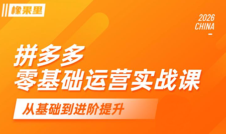 仙道电商·拼多多零基础运营实战课-副业终点站