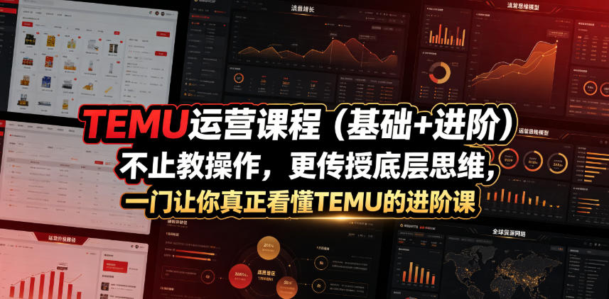 TEMU运营课程(基础+进阶)，不止教操作，更传授底层思维，一门让你真正看懂TEMU的进阶课-副业终点站