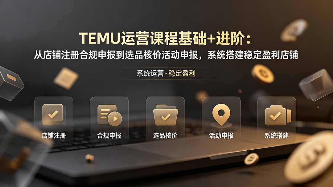 TEMU运营课程(基础+进阶-副业终点站