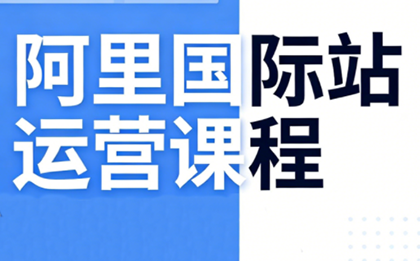 张国儒·阿里国际站运营课程(更新7月)-副业终点站