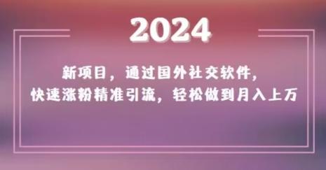 2024新项目，通过国外社交软件，快速涨粉精准引流，轻松做到月入上万【揭秘】-87创业网