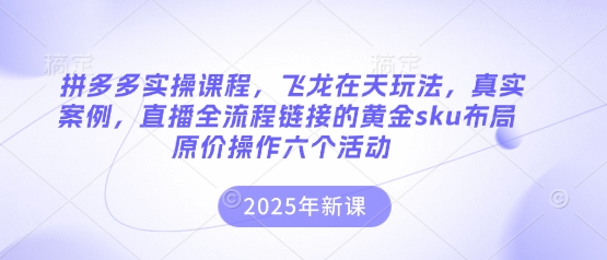 拼多多实操课程，飞龙在天玩法，真实案例，直播全流程链接的黄金sku布局原价操作六个活动-87创业网