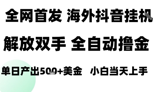 海外抖音无人直播，单日产出1.5k+，长期稳定，新手可玩，无脑操作【揭秘】-87创业网