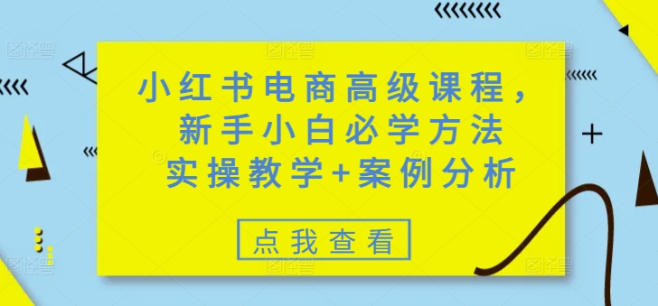 小红书电商高级课程，新手小白必学方法，实操教学+案例分析-87创业网