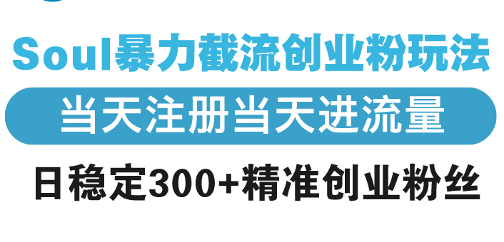 Soul暴力截流创业粉玩法，当天注册当天进流量，日稳定300+精准创业粉丝-87创业网