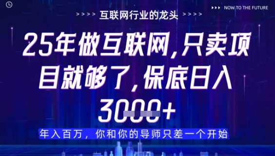 什么！25年你还在找项目做？风口早就变了，卖项目才是稳挣不赔【揭秘】-87创业网