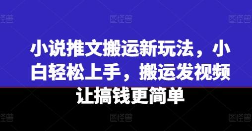 小说推文搬运新玩法，小白轻松上手，搬运发视频让搞钱更简单-87创业网